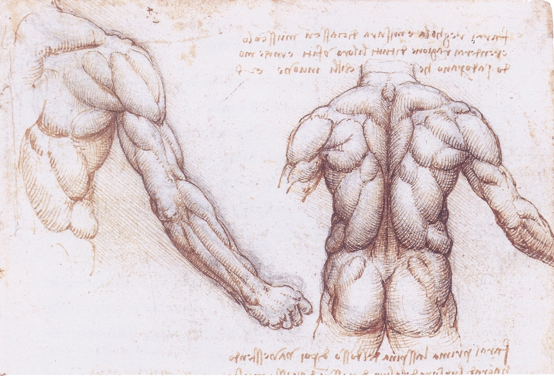 Leonardo+da+Vinci-1452-1519 (309).jpg